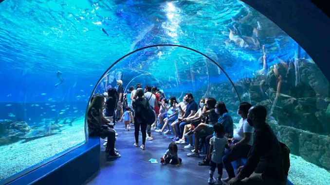 objek wisata manila ocean